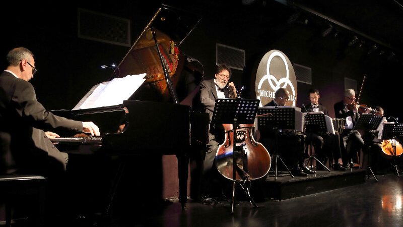 Michelangelo - 12 (Horizontal)