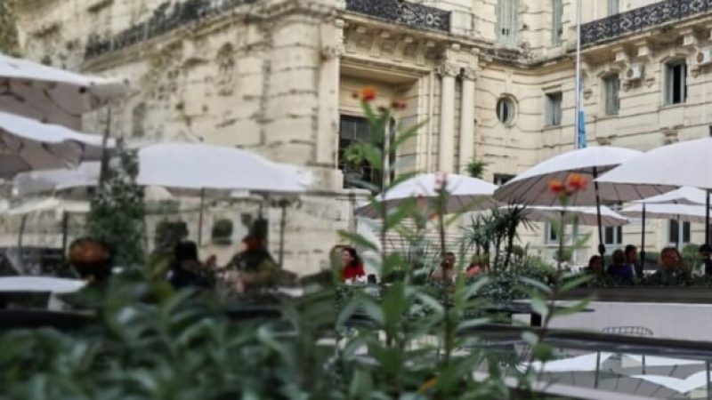 Palacio Paz Merienda - 3 (Vertical)